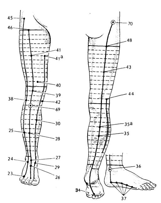 Расположение точек на передней поверхности ноги