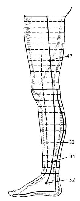 Расположение точек на внутренней поверхности ноги