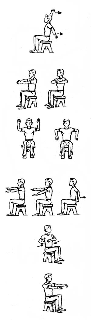 Упражнения для укрепления плечевого пояса