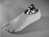 Стопа, предназначенная для пациентов, которые используют обувь с различной высотой каблука