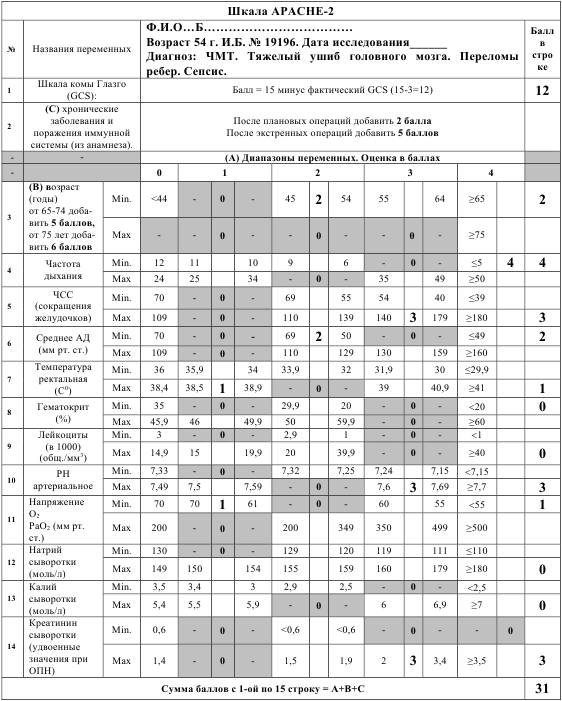 Пример заполнения адаптированной таблицы шкалы АРАСНЕ-2