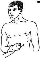 Исследование силы внутренних ротаторов плеча