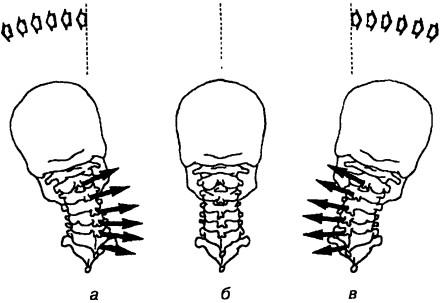 Сопутствующие ротационные движения шейных позвонков при наклонах головы в сторону