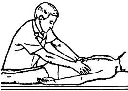 Массажная методика «прокатывания» мышечного валика вдоль спины