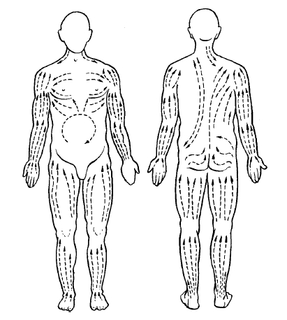 Анатомо-физиологические свойства массажа