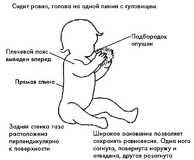 Сенсомоторное развитие ребенка 6 месяцев