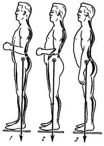 Схема, показывающая сокращение некоторых групп мышц при различных видах стоячего положения тела