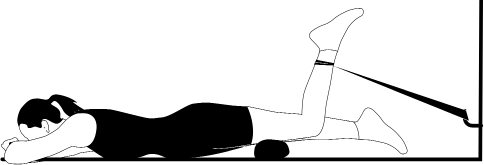 Комплекс упражнений после компрессионного перелома позвоночника нижнегрудного и поясничного отделов