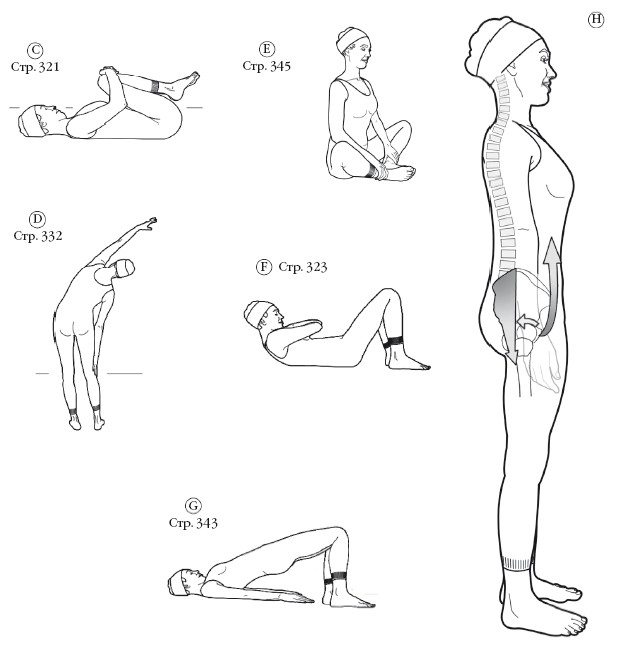 Упражнение на увеличение тонуса мышц