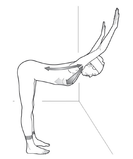 Растяжение передней позвоночной связки (грудной сегмент) и грудных мышц