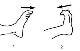 Гимнастика для пальцев ног