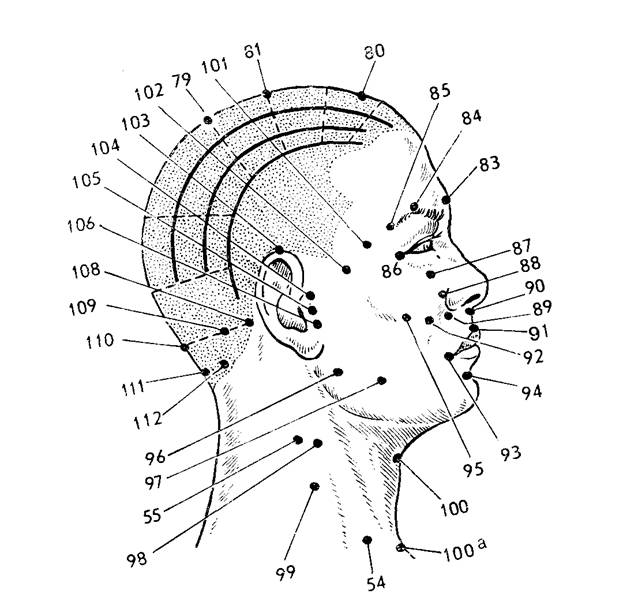 Расположение точек на голове, лице и шее