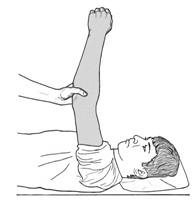 Тренировка мышц плеча