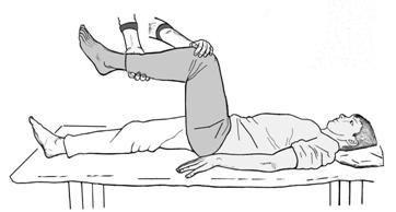 Тренировка мышц- сгибателей бедра