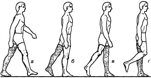 Основные фазы нормальной походки