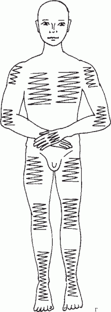 Схема проведения веничного массажа