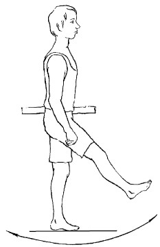 Упражнения для тазобедренного сустава
