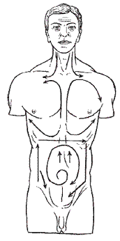 Направление основных массажных движений в области груди и живота