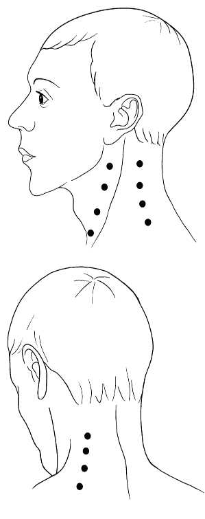 Точки для массажа шеи по методу шиацу