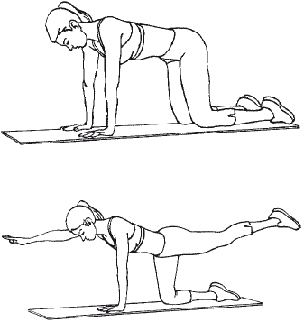 Тренируем мышцы живота и спины